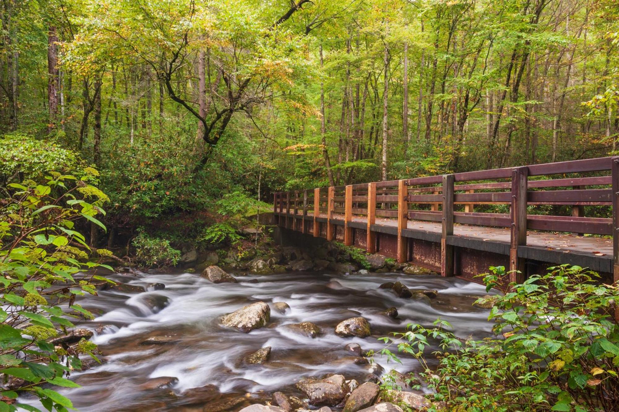 Tranquility Hollow, Indoor Pool, Game Room, 1089 Free Tickets Each Paid Day, Dollywood And More! เซอเวียร์วีล ภายนอก รูปภาพ